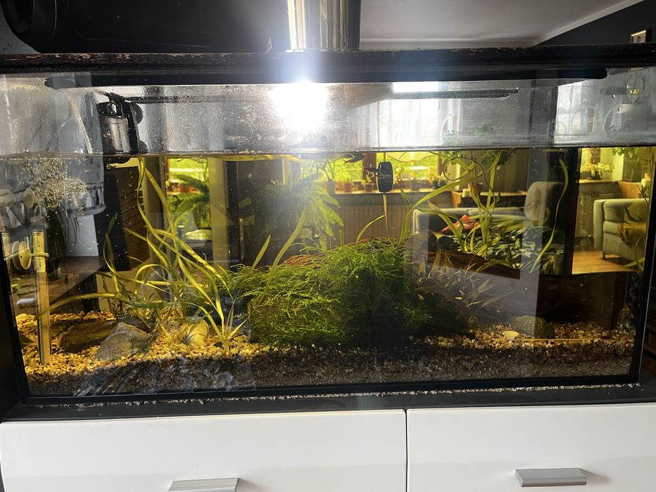 Sprzedqm akwarium 150 litrow