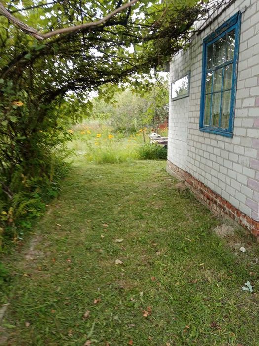 Продам дачний будинок 42 м2 і зем ділянку 5 сот Березанка.