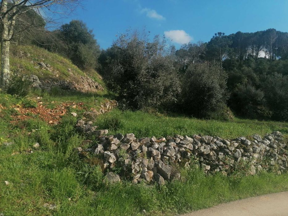 Vendem-se terrenos com viabilidade de construção ou para utilização agricula a partir de 20.000 euros.