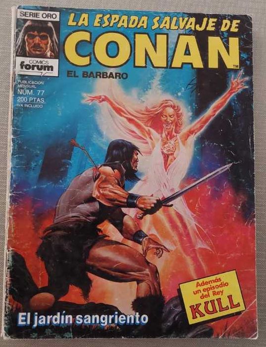 La Espada Salvaje De Conan