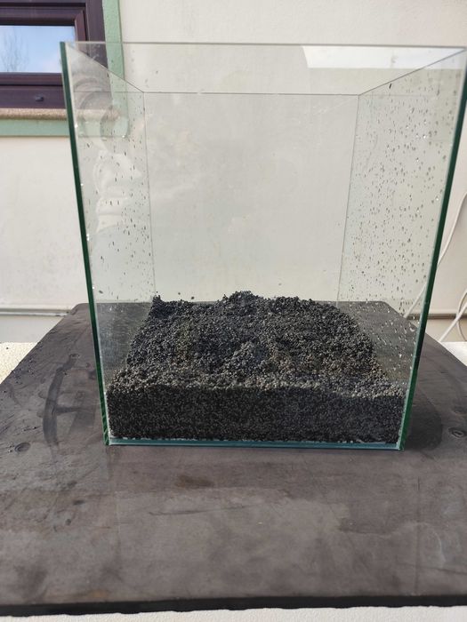 Urgente Aquariofilia, aquário, plantas e peixes