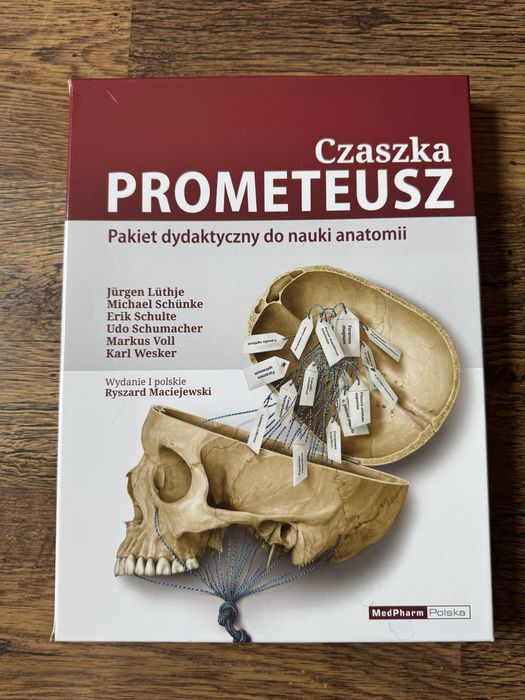 Czaszka prometeusz pakiet dydaktyczny nowy