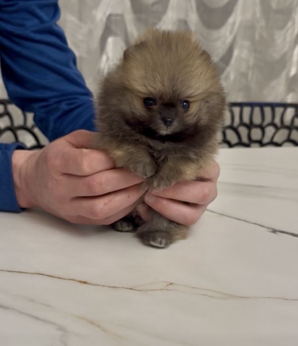 Супер-міні хлопчик КСУ