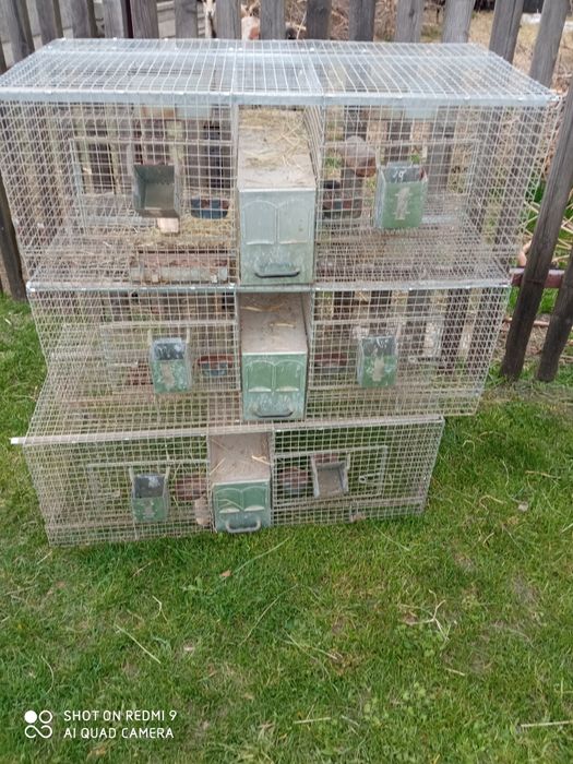 Klatki dla szynszyli