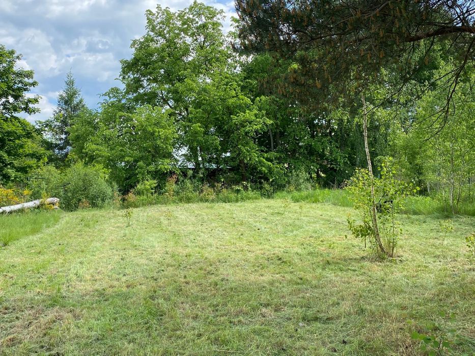 Działka budowlana w Łosiu - Widok 3
