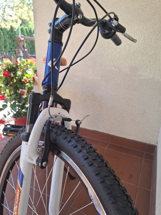 Rower Kross hexagon 24"