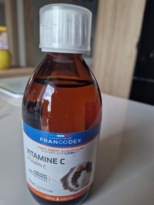 Witamina C dla chomika