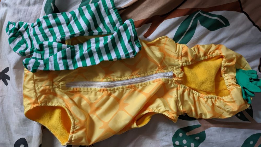 Fantasias de carnaval