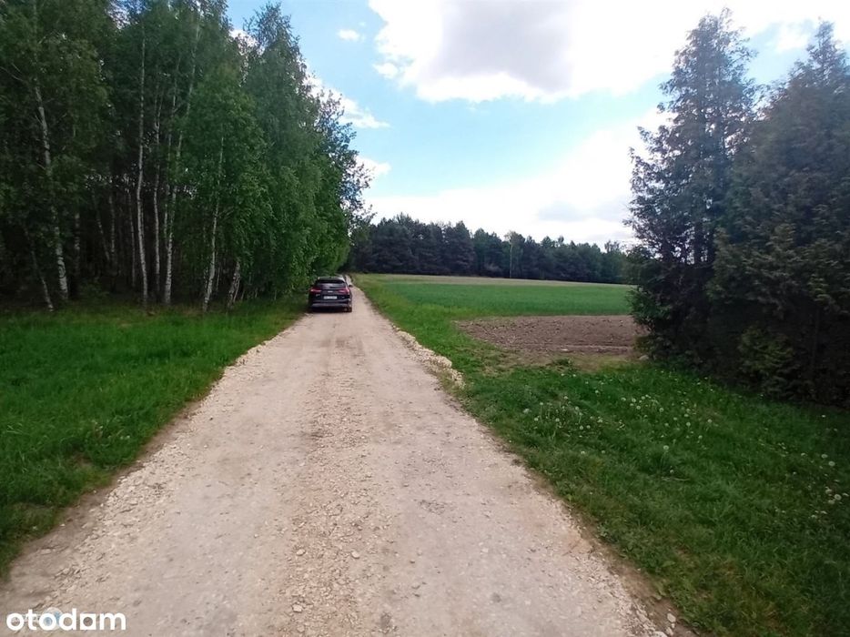 Widokowa działka otoczona lasem!