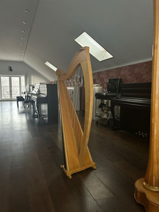 Арфа леверсна модель Мія Salvi Італія