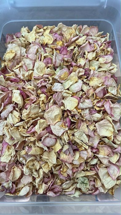 Suszone płatki kwiatów róż