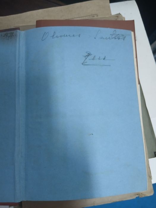 Beatriz Nazareth, Manual da Florista Para Fazer Flores Artificiaes