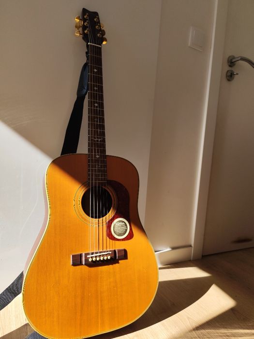 washburn d21s/n guitar acoustic
