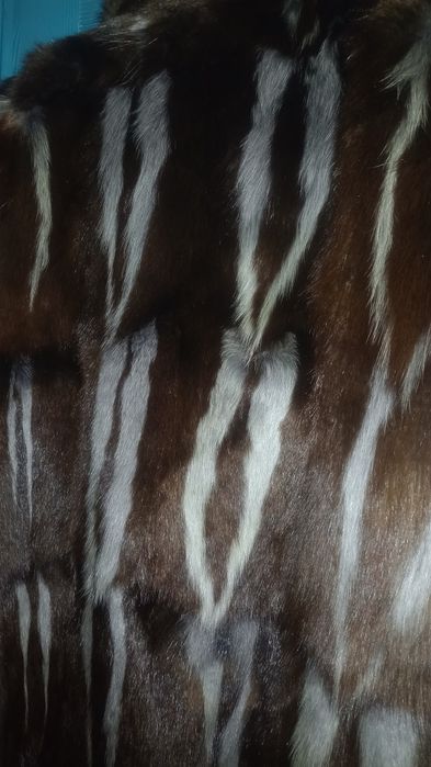 Futro skunksa futro skunksów unikat