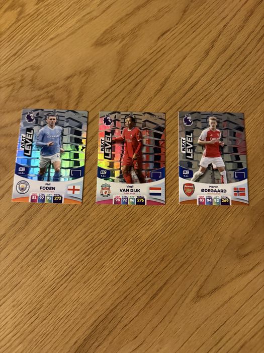 Karty panini Premier League 2024. Next level