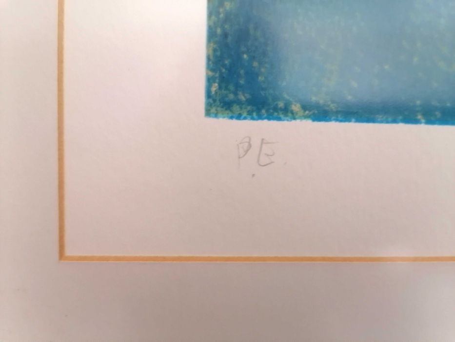 Serigrafia - Prova de Autor - João Ribeiro