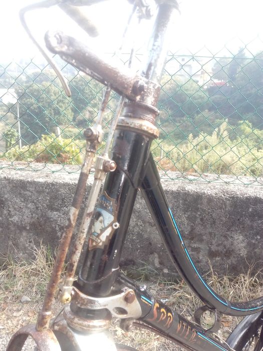 Bicicleta Pasteleira de Senhora