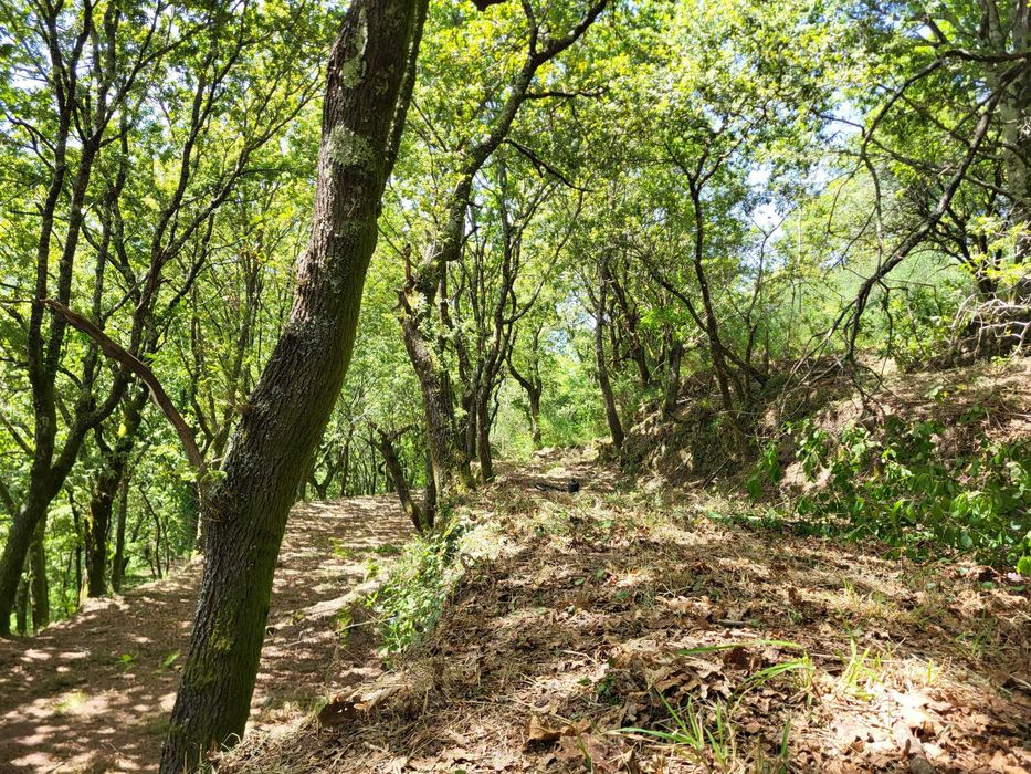 Terreno no Gerês com Ruína e Mina 3 Artigos 8.100m²