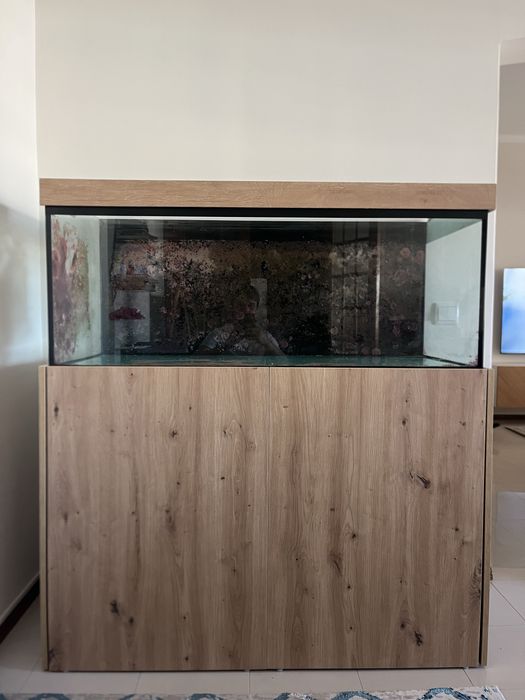 Aquario 120x50x50