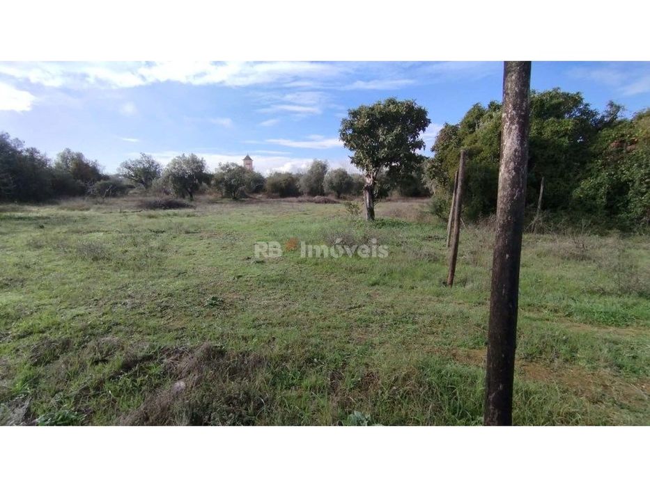Terreno misto com 3080 m2, em Delongo