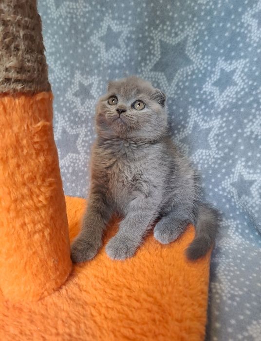Лучшее предложение