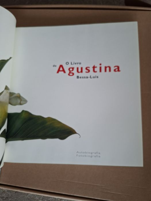 o Livro de Augustina Bessa Luís