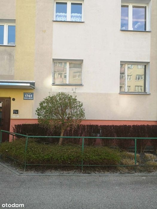 2 pokoje + kuchnia, 42 m², parter, do remontu - Robotnicza, Elbląg