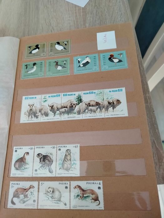 Klaser ze znaczkami oferta dla filatelistów