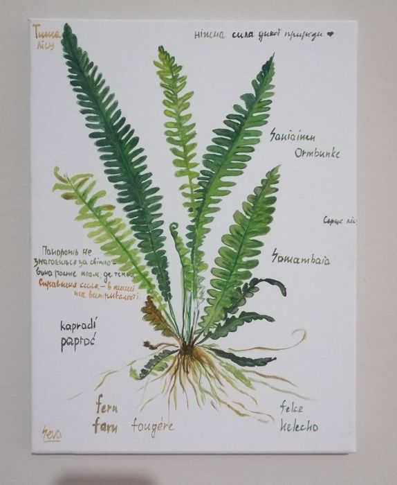 Картина "папороть" 30 на 40 см