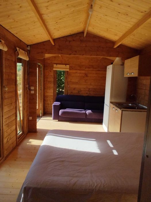 Cabana modular de madeira, escritório Exterior de 17,2 m2