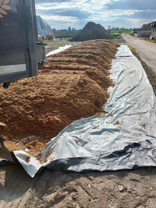 Młóto browarniane jęczmienne dla bydła