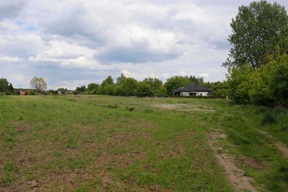 Działka budowlana koło Warszawy, w otulinie KPN Ul. Cisowa. Wyględy