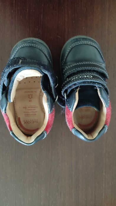 Sapatos menino GEOX  tam 20