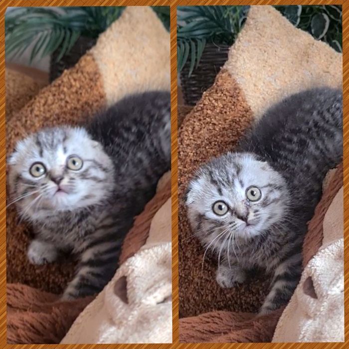 Самая самая любвиобильная