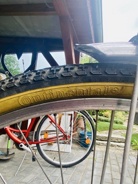 Rower miejski, heros