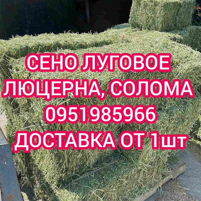 ‼️СЕНО 2026 С ДОСТАВКОЙ ОТ 1 шт в тюках мешках, сіно степное. Объёмы‼️