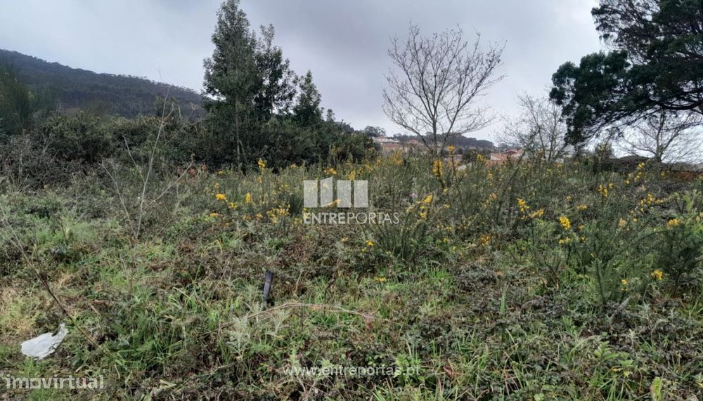 Venda de Lote para construção, Afife, Viana do Castelo — Afife, Viana do Castelo