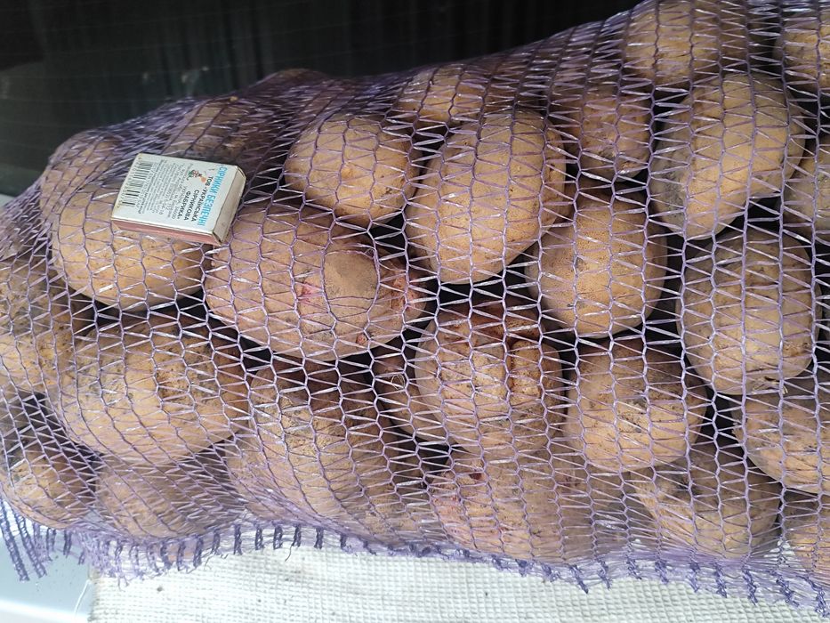 Продам картоплю!