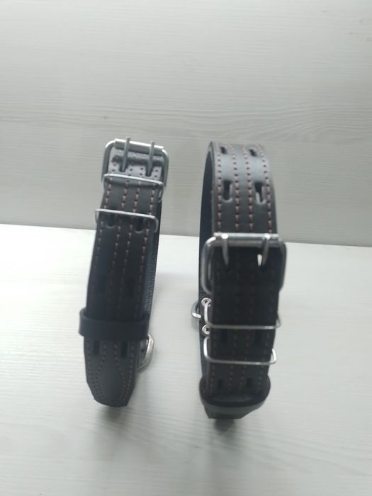 Нашийники та повідки