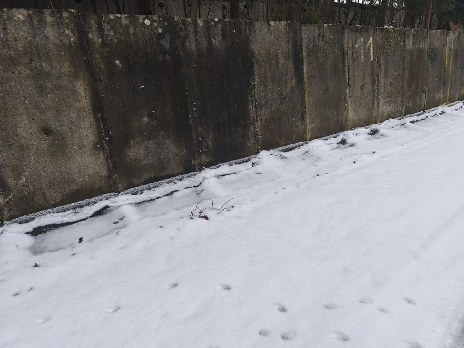 Elki betonowe 110 szt