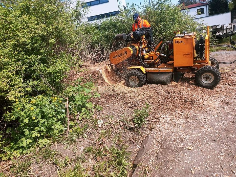 Frezowanie pni usuwanie karp