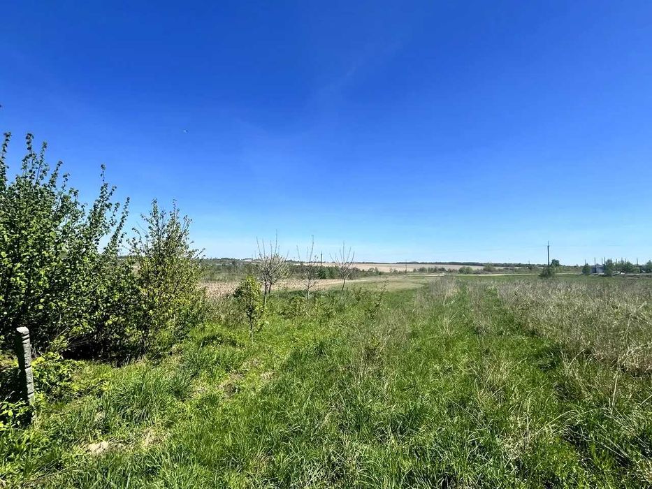 Продаж земельної ділянки Львівська область, село Басівка