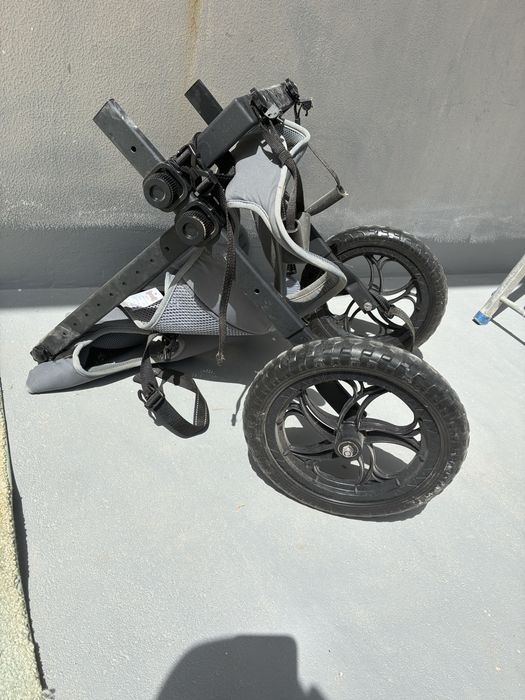 Carro rodas para caes