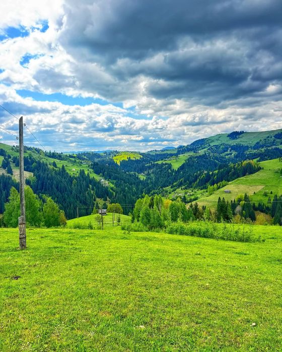 Продається земельна ділянка 94 сотики в Верховині присілок Пушкарі.