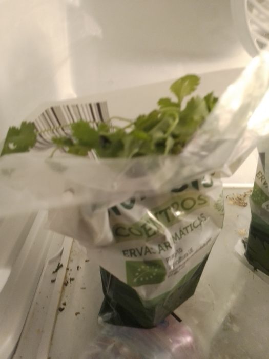 Kafka um livro sempre aberto-T -Boas-Deriva8E-Planta Coentros5EDesde2E