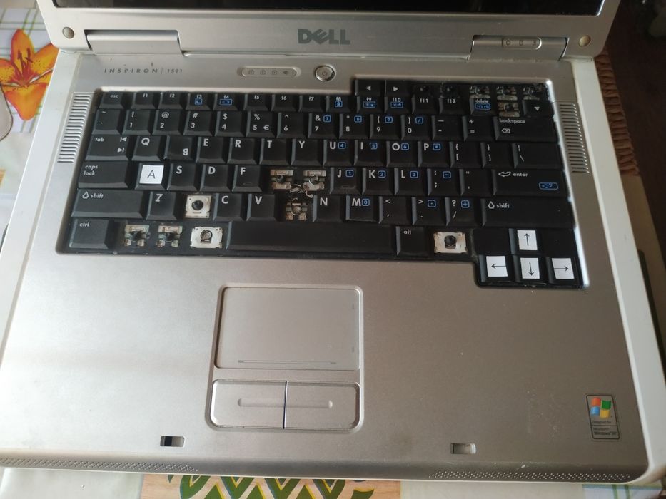 Dell Inspiron 1501