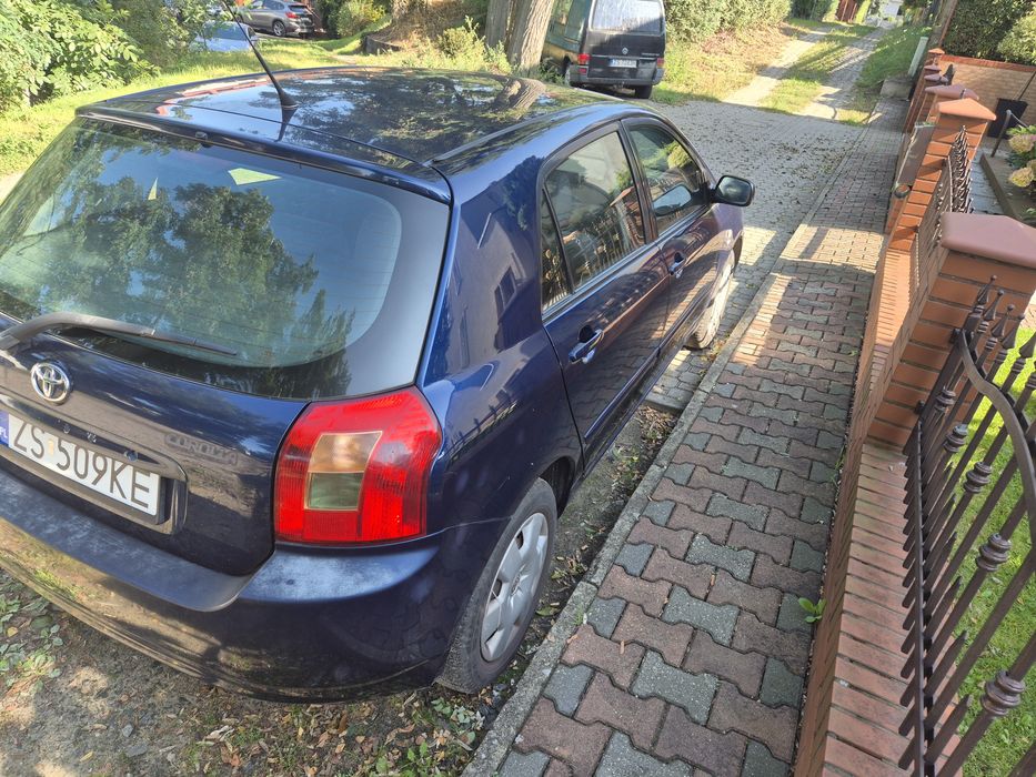 Toyota corolla szuka nowego domu za 10500zł