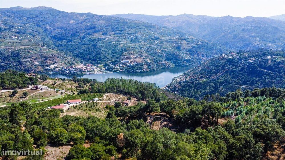 Quintinha T3 / Baião, Santa Cruz do Douro e São Tomé de Covelas