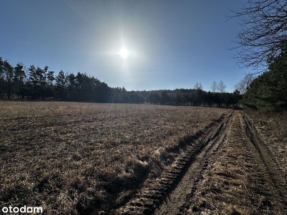 Działka rolno-leśna | okolice rzeki Bug | Mielnik