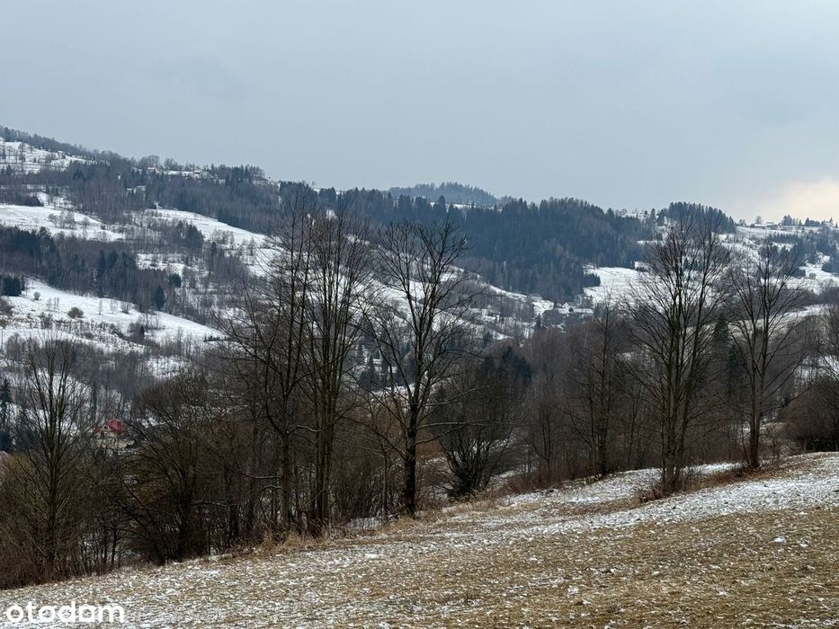 Piękna widokowa działka wysoko w górach idealna na rekreację!
